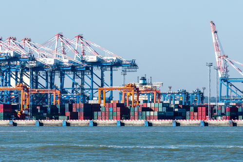 5g助推智慧港口 揚帆遠航 中國 福建 自由貿易試驗區門戶網站